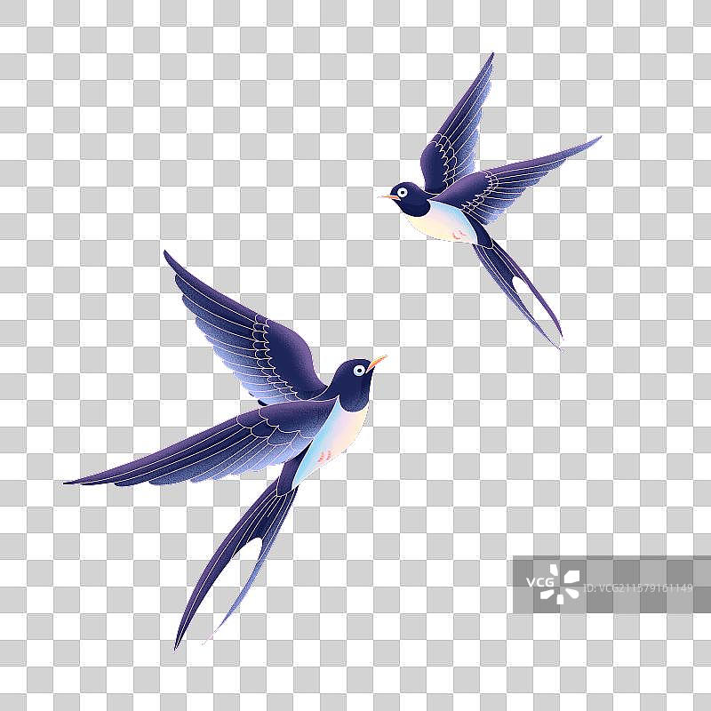 七夕两只喜鹊插画图片素材