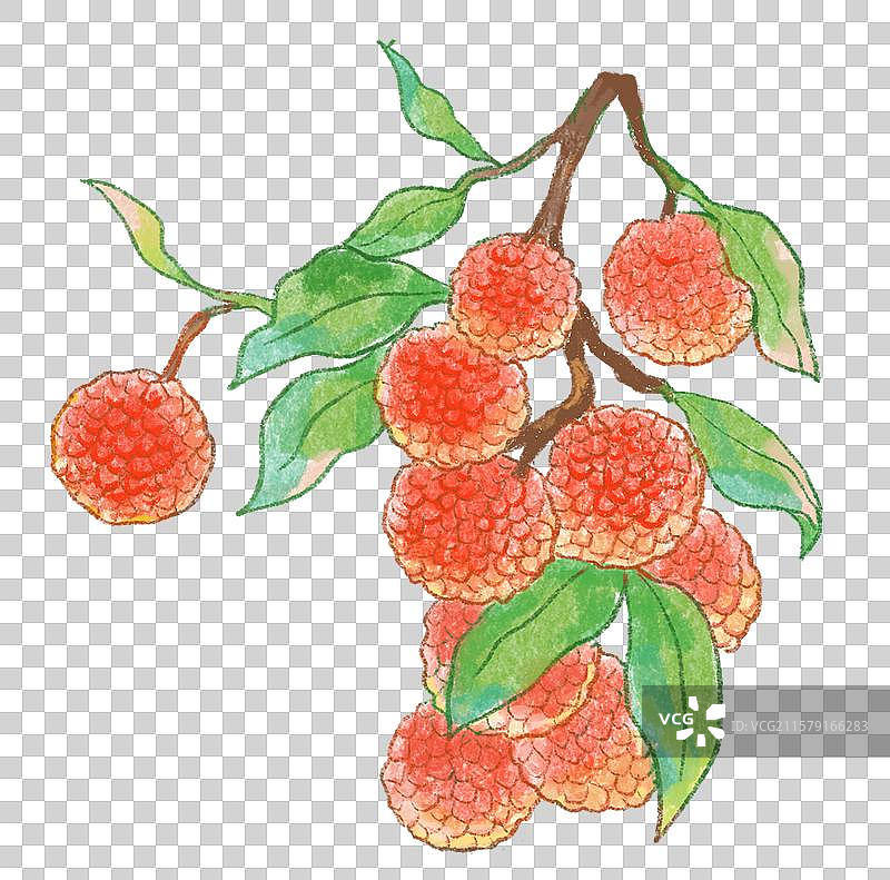 荔枝图片素材