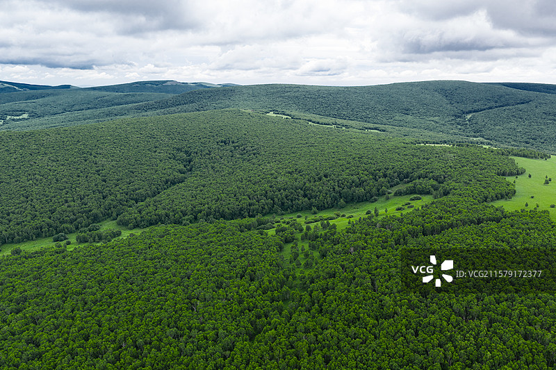 内蒙古牧场呼伦贝尔大草原风景图片素材