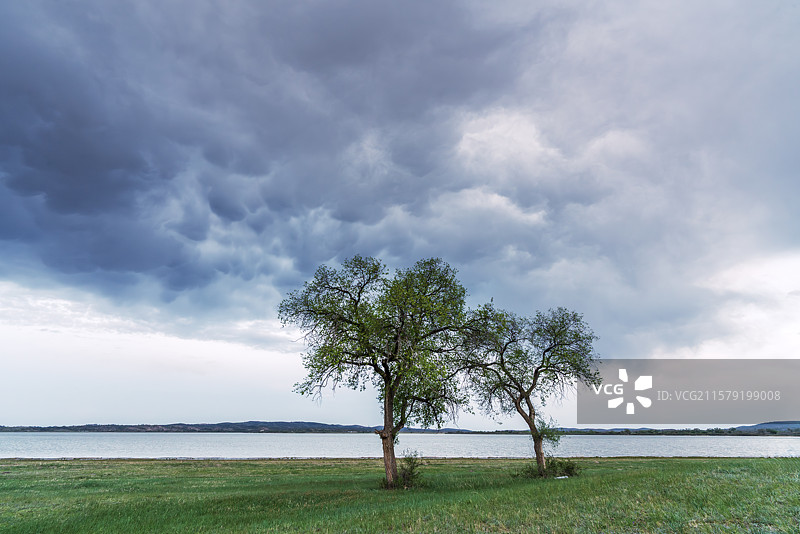 内蒙上都湖原生态牧场积云图片素材