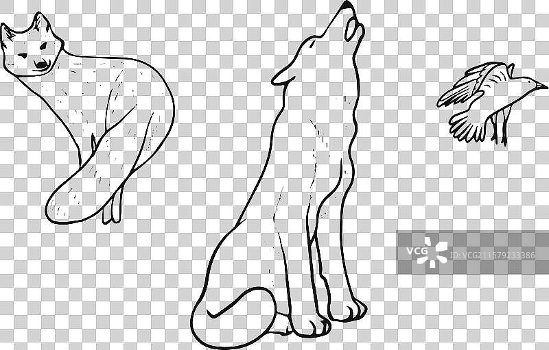 线条动物 230624图片素材