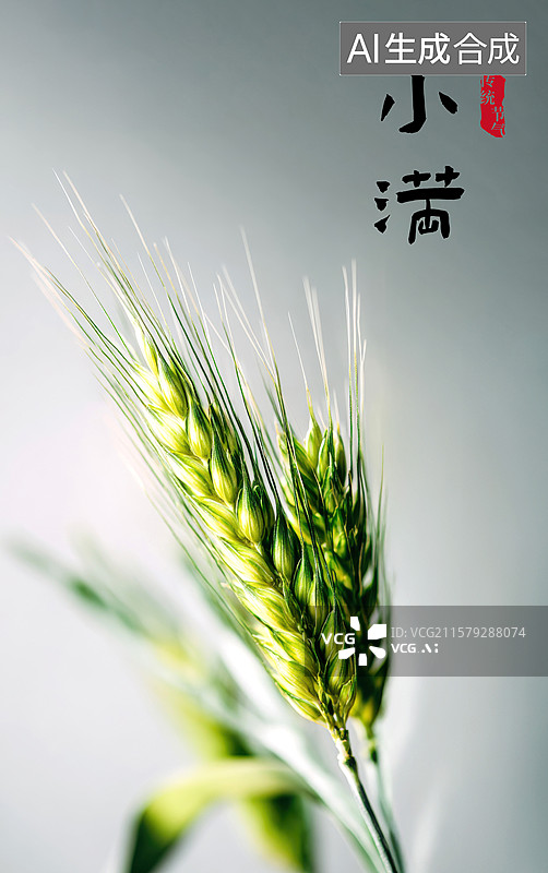 【AI数字艺术】一束绿色的麦秆图片素材