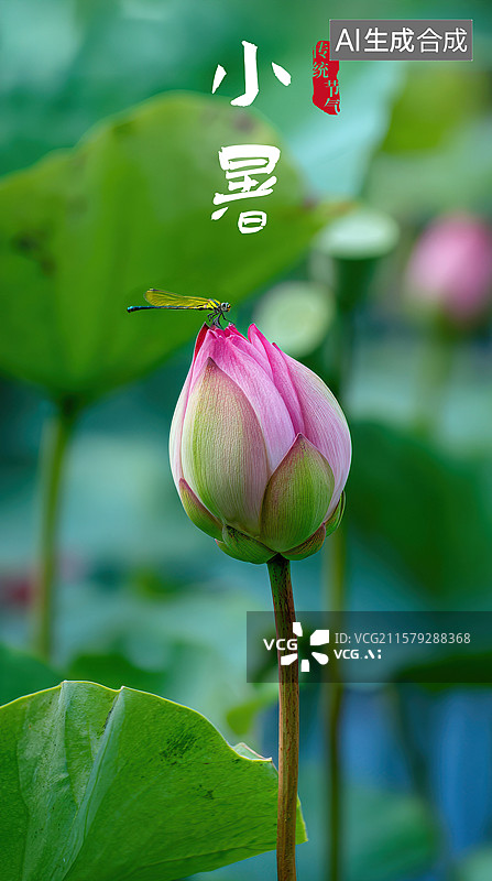 【AI数字艺术】一朵粉红色的花, 有绿色的茎图片素材