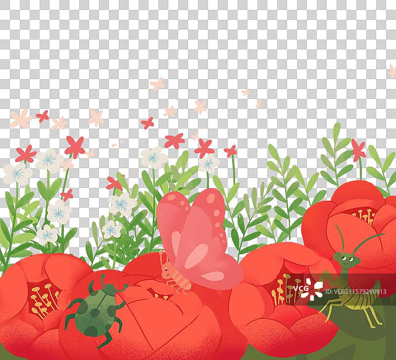 花朵，昆虫图片素材