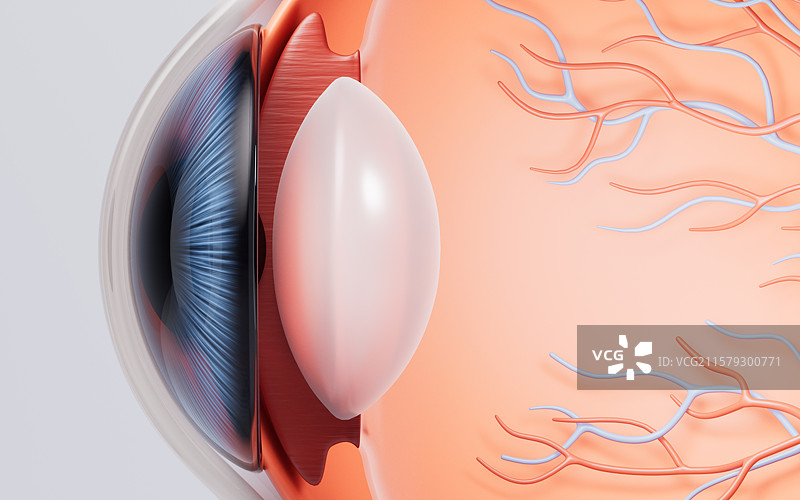 医学人类眼球结构三维渲染图片素材