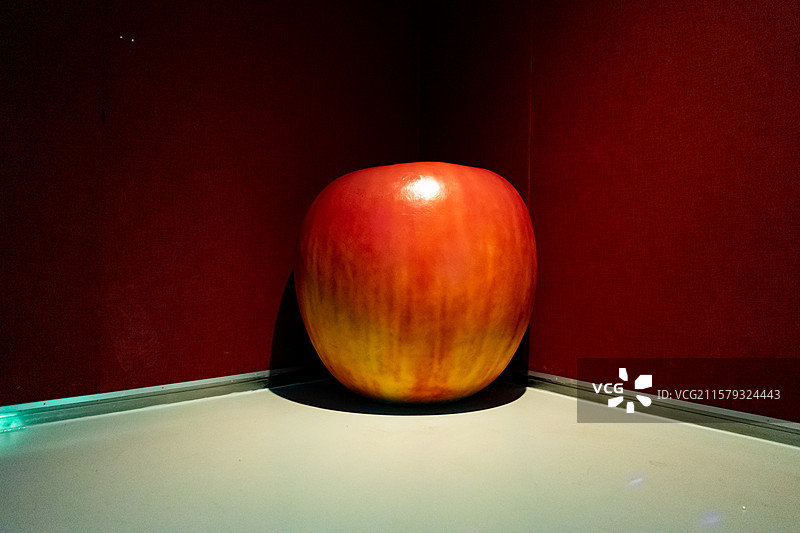 中国艺术文化和娱乐拍摄主题，山东省济美术馆博物馆双年展和特展，角落里的苹果，室内人图像摄影图片素材