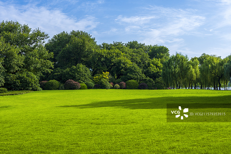 草地 绿色 清新空气图片素材