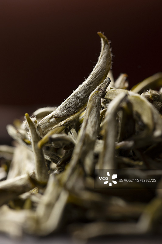 黄茶—君山银针图片素材