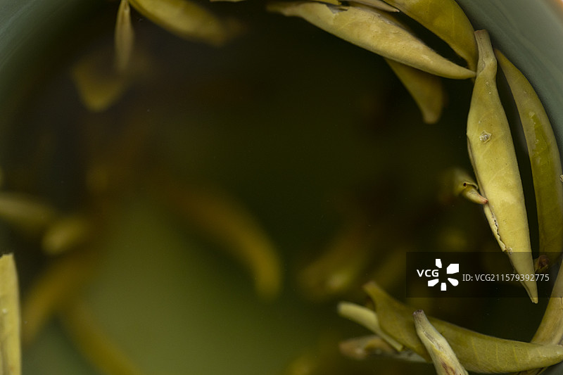 黄茶—君山银针特写图片素材