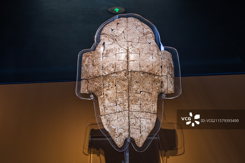 河南安阳殷墟博物馆商"自贾乞"刻辞卜甲商王武丁时期长22.6宽18cm中国社会科学院考古研究所藏品图片素材