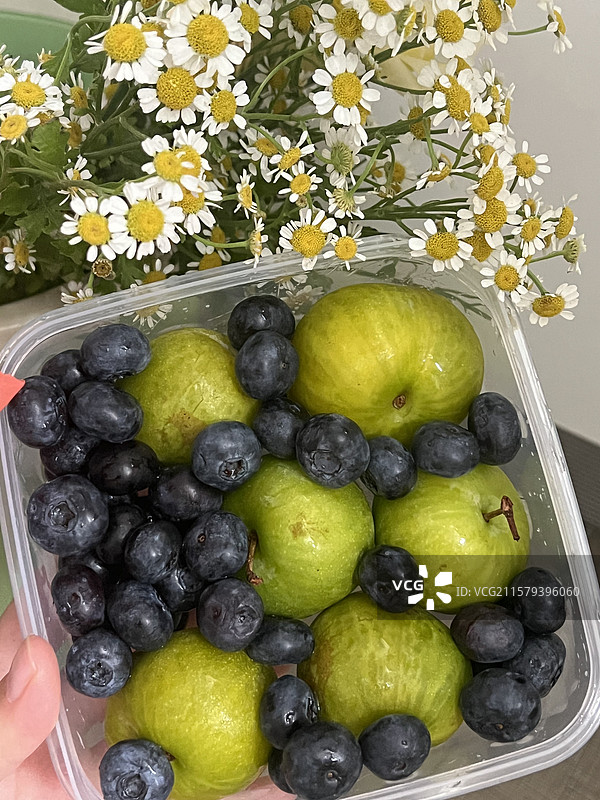 蓝莓脆李与雏菊图片素材