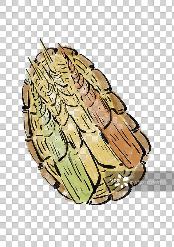 水墨风立夏美食插画元素-脚骨笋图片素材