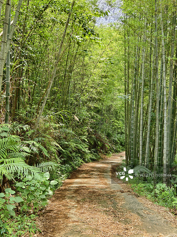 广州从化区良口镇溪头村下溪村图片素材