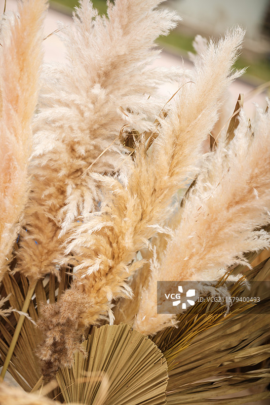 哈萨克族传统服饰花帽羽毛帽图片素材