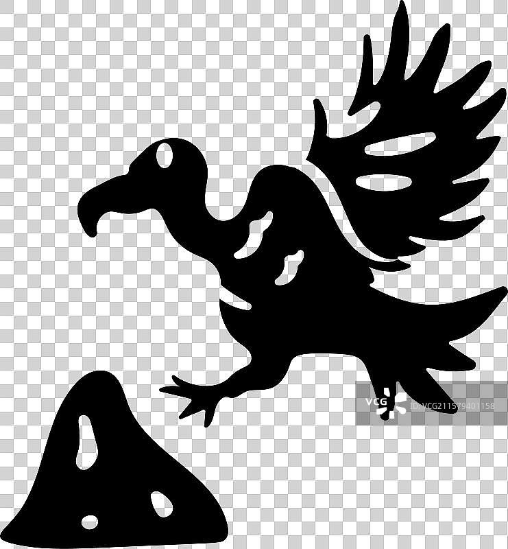 食腐动物图片素材