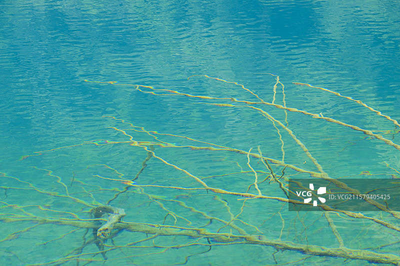 杭州桐庐大奇山小九寨清澈见底的潭水图片素材