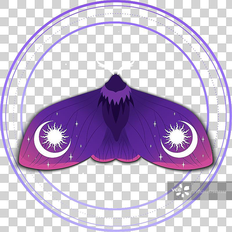 紫色蛾蝶的天体背景图片素材