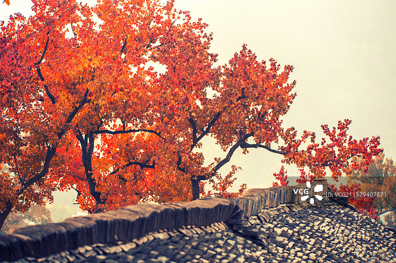 塔川秋色图片素材