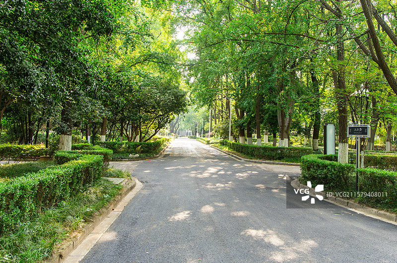 南京大学鼓楼校区百年校区夏季风光图片素材