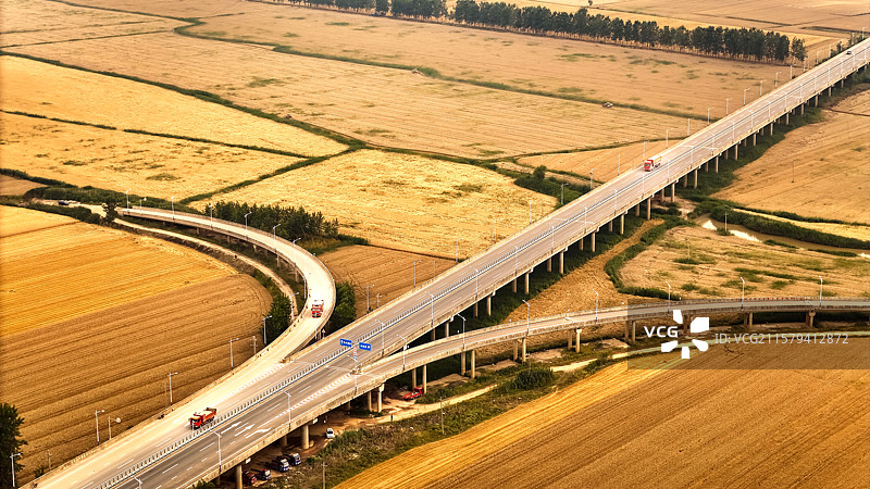 金色麦浪间的交通动脉：黄州罗霍洲大桥图片素材