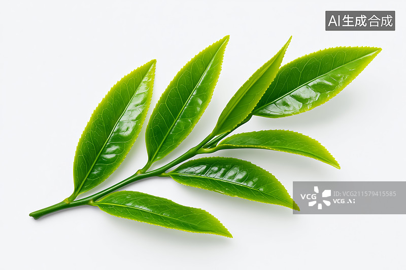 【AI数字艺术】特写白色背景的嫩芽图片素材