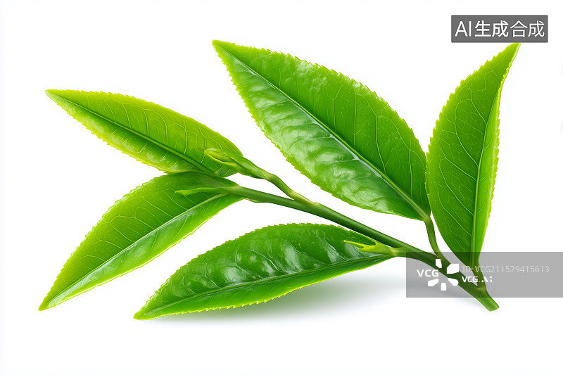 【AI数字艺术】特写白色背景的嫩芽图片素材