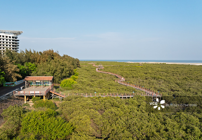 广西北海金海湾红树林景区风光栈桥图片素材
