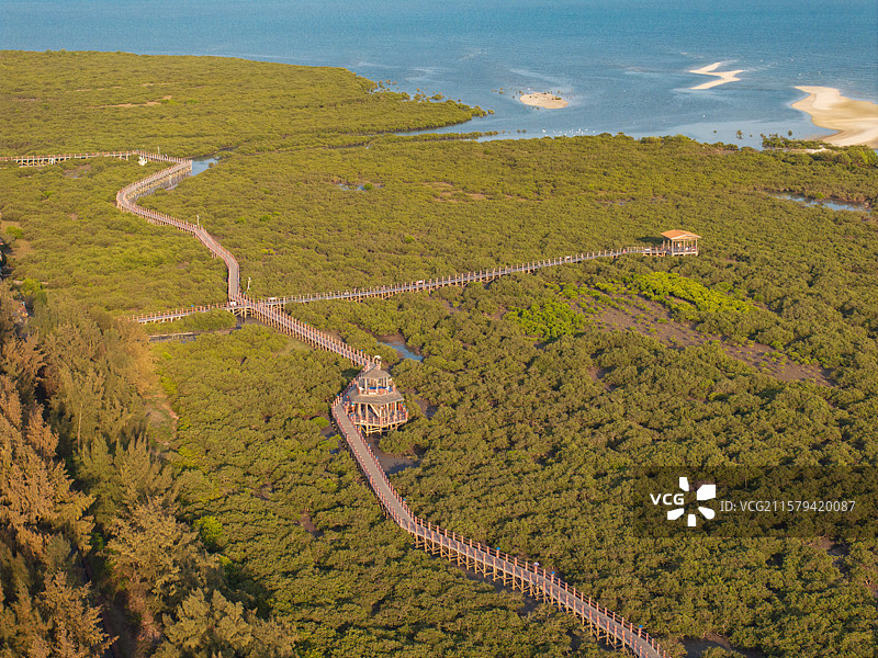 广西北海金海湾红树林景区风光栈桥图片素材