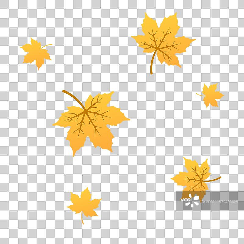 金秋枫叶扁平图片素材