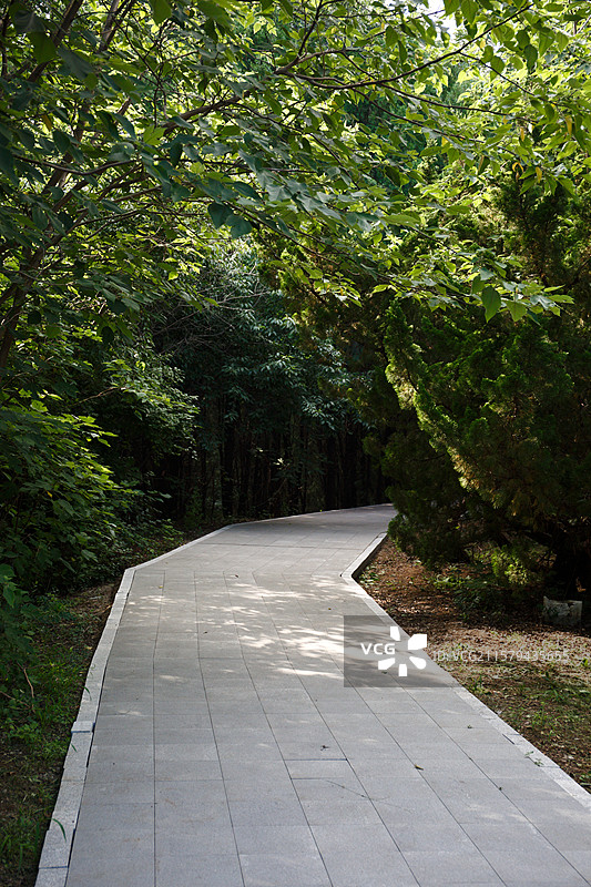 山海关角山公园里的小径图片素材