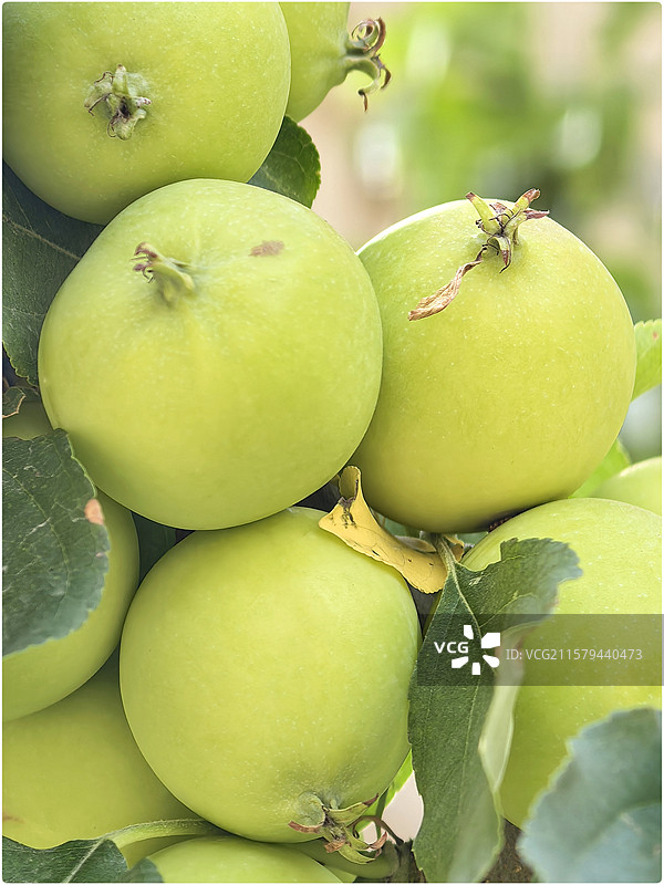 融创江南桃源77图片素材