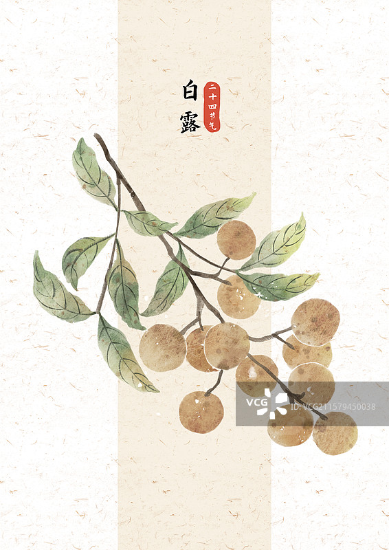 白露龙眼国风插画图片素材