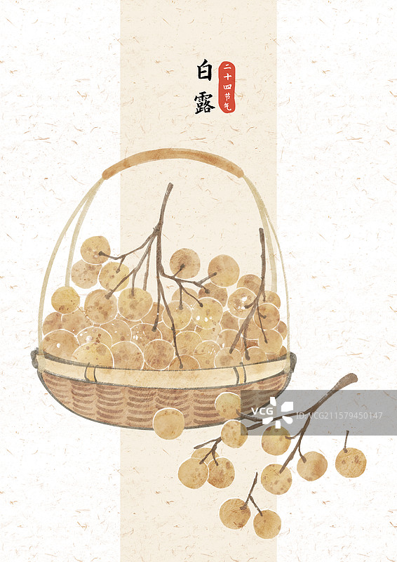 白露龙眼国风插画图片素材