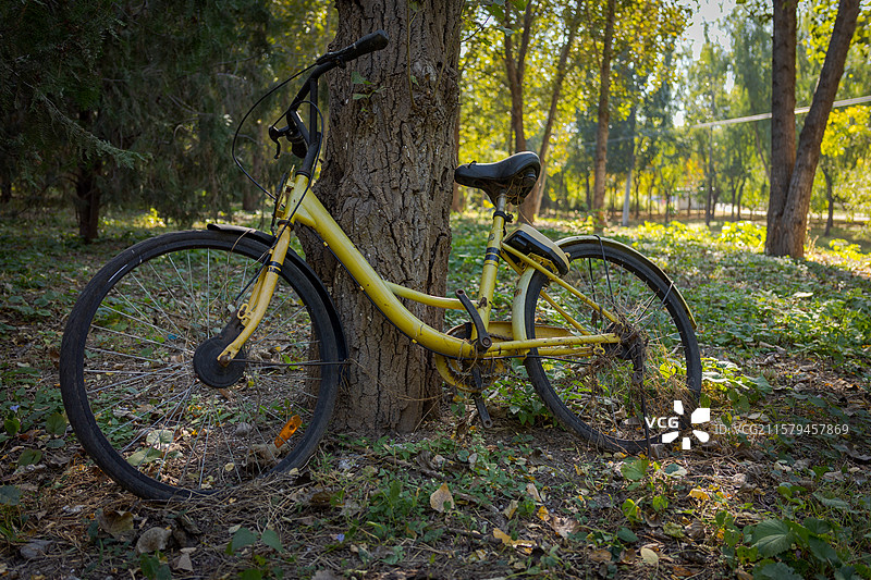 北京昌平东小口森林公园中的黄色破旧自行车图片素材