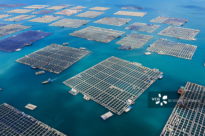 海上田园的鲍鱼养殖奇观图片素材