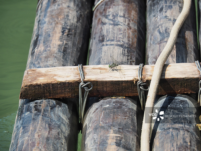 绑在竹筏上的绳索以及栖息的蜻蜓特写镜头图片素材