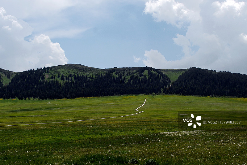 夏日新疆博尔塔拉博乐阿热勒托海公路风车牧场花草风光图片素材