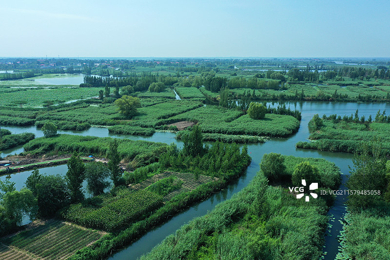 碧波荡漾荷花香，鸟啼欢歌绕芦荡   千船百艇无穷碧，棹影轻舟任徜徉 明珠璨，胜天堂，生态难安誉四方图片素材