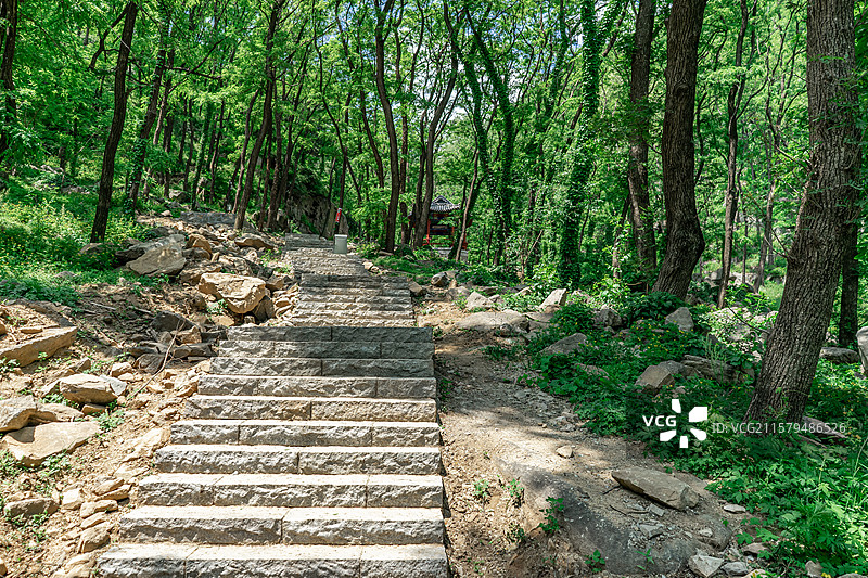 中国自然风光拍摄主题，山东省泰安泰山东御道风景区，绿色的山脉和蜿蜒的山路登山道，户外白昼无人图像摄影图片素材