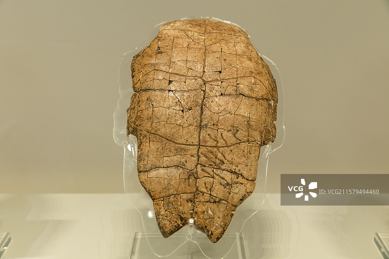 河南安阳殷墟博物馆商"终小甲日"刻辞卜甲商王武丁时期长28.4宽18.1cm中国社会科学院考古研究所图片素材