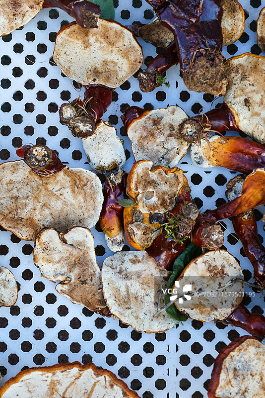 中药材长白山灵芝和人参野山参图片素材
