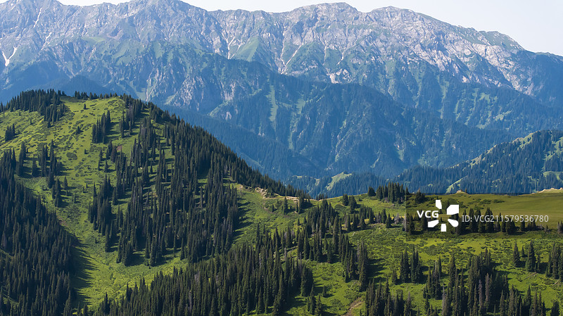 新疆伊犁赛里木湖森林航拍图片素材