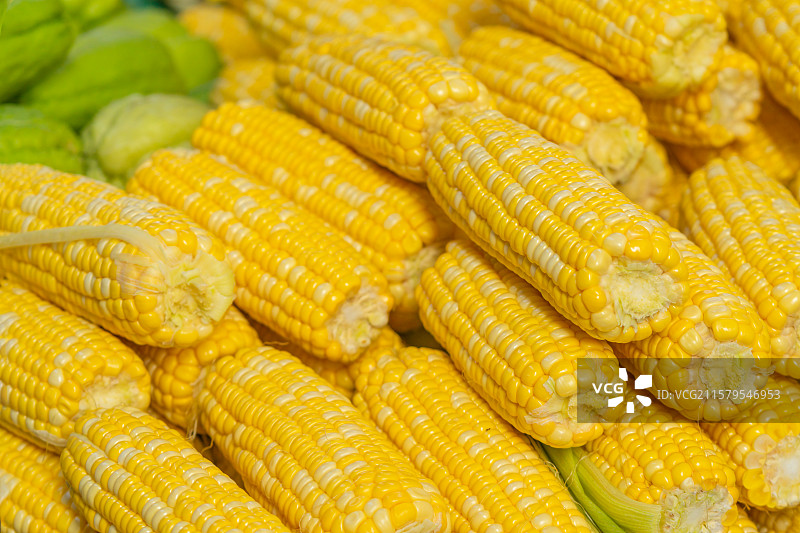 玉米图片素材
