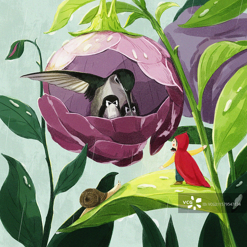 小女孩偶遇花苞中的小鸟一家图片素材