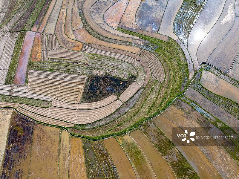 广西防城港市美丽乡村、艺术田园、彩绘大地、七彩田园图片素材