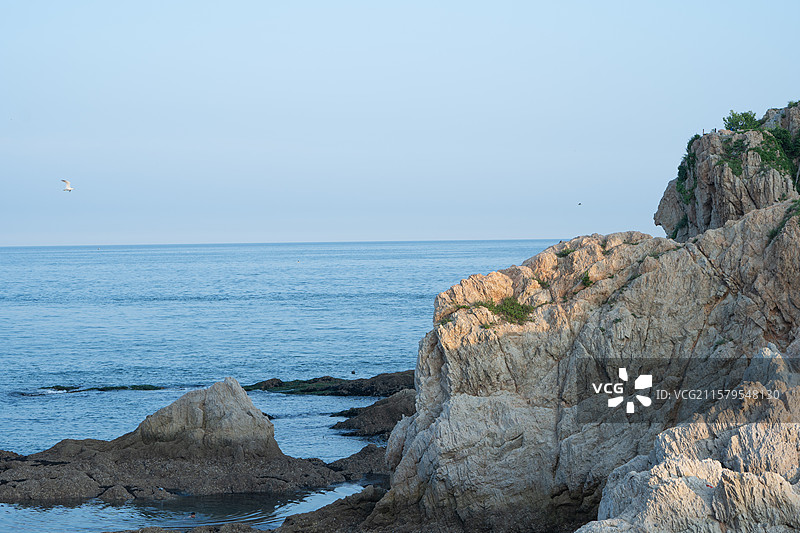 大连海岩共生的静谧时刻图片素材