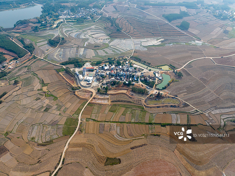 广西防城港市美丽乡村、艺术田园、彩绘大地、七彩田园图片素材