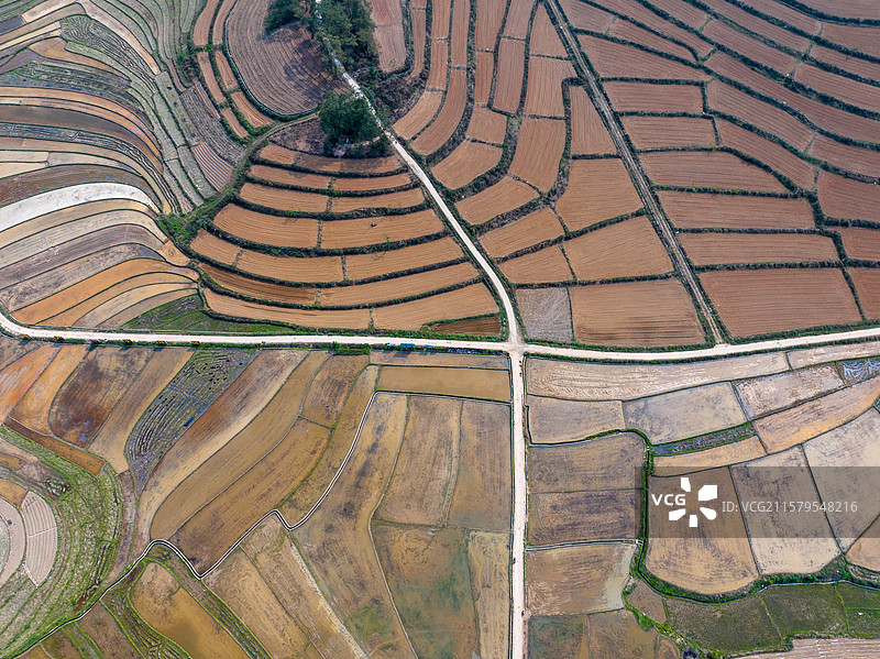 广西防城港市美丽乡村、艺术田园、彩绘大地、七彩田园图片素材