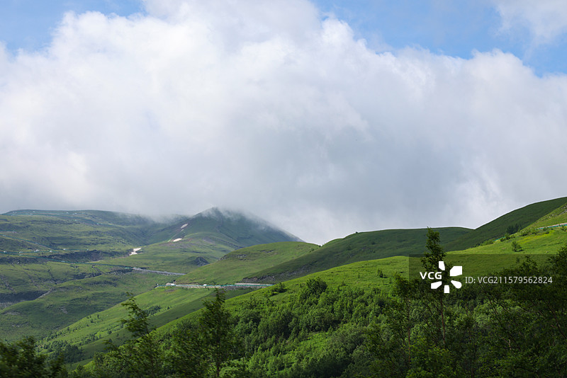 夏天吉林长白山北坡盛开的鲜花和72道弯自然风光组图图片素材