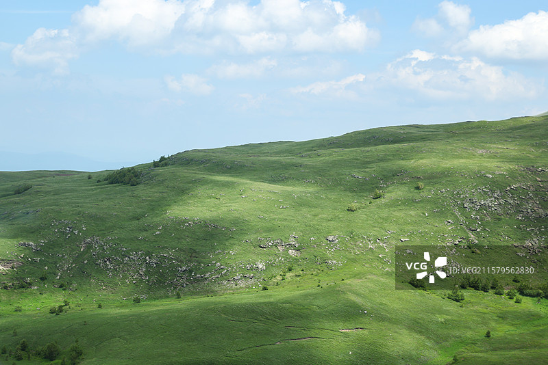 夏天吉林长白山北坡盛开的鲜花和72道弯自然风光组图图片素材